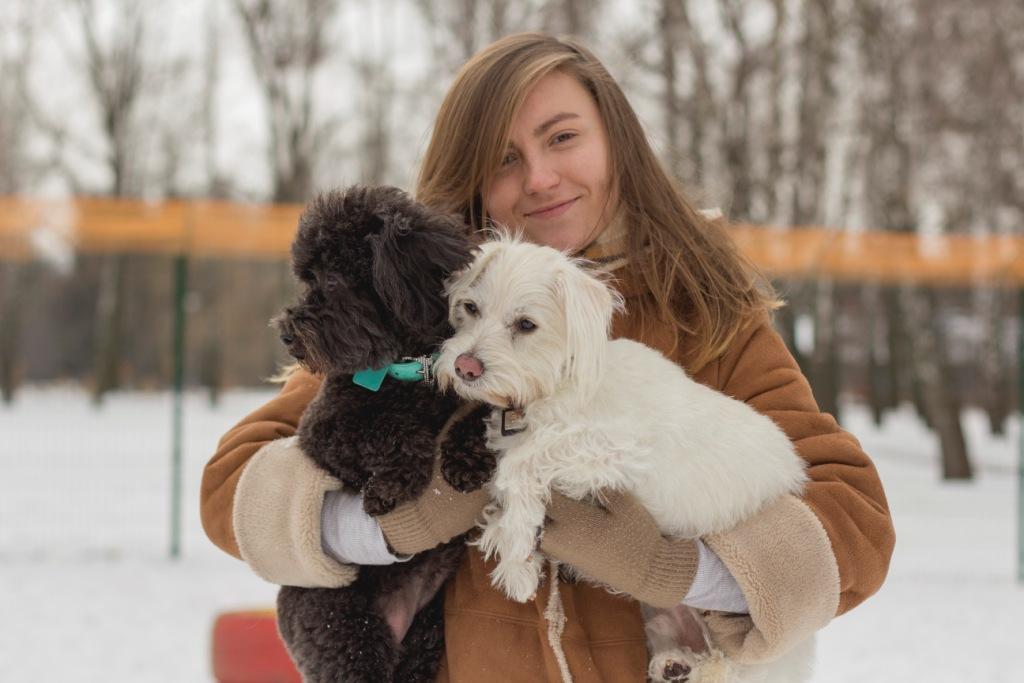 Позитивное подкрепление как это работает