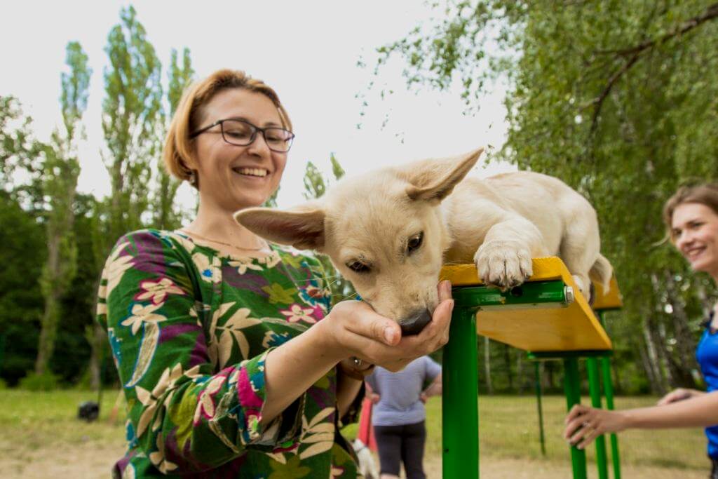 любят ли собаки людей