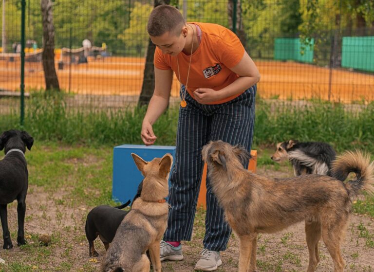 кинолог киев