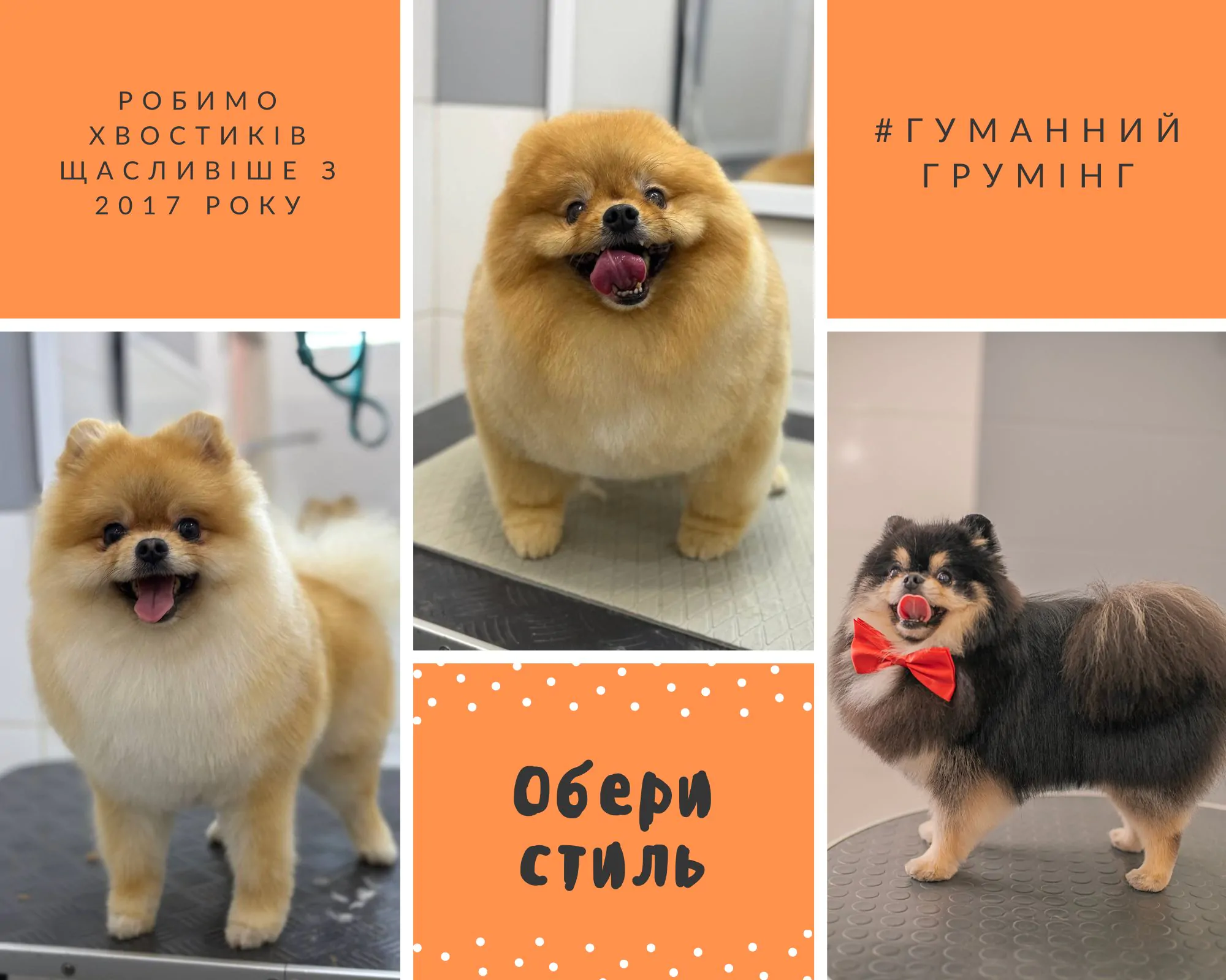 Грумінг