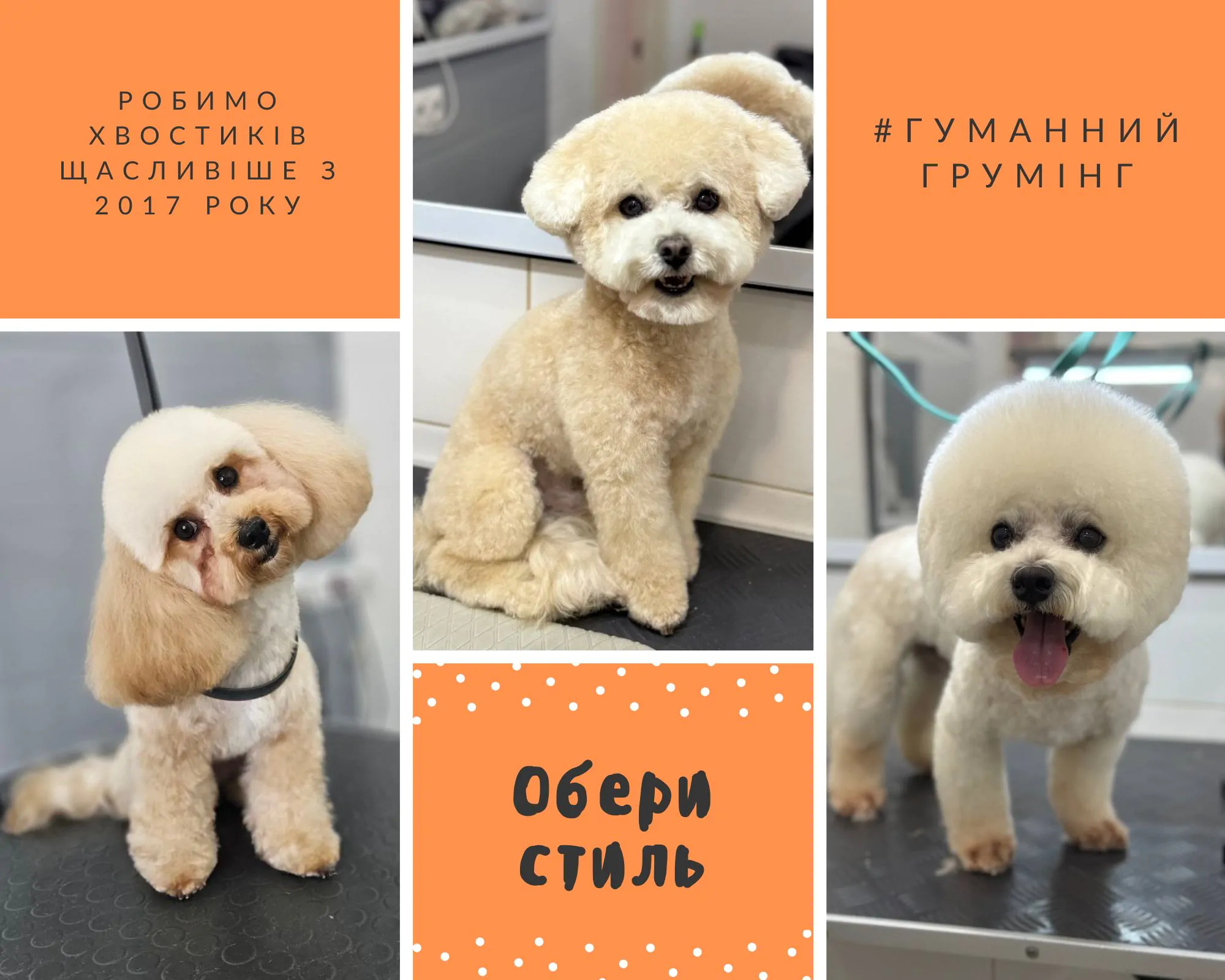 Грумінг