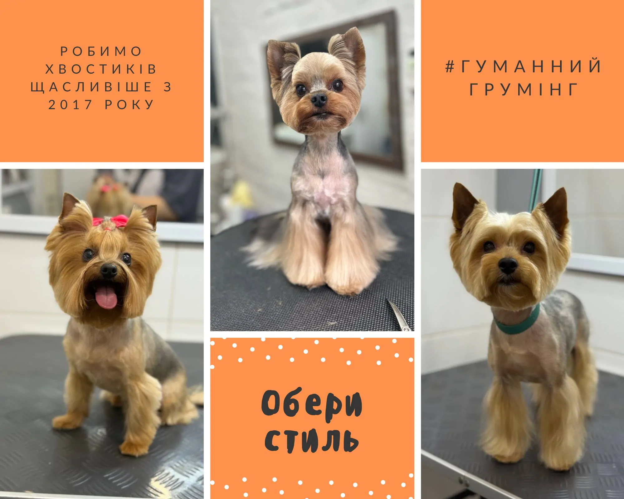 Грумінг